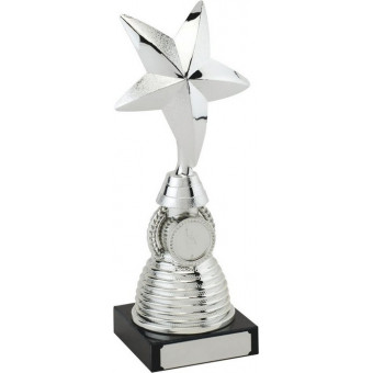 Pool 3D Star Silver Trophy...