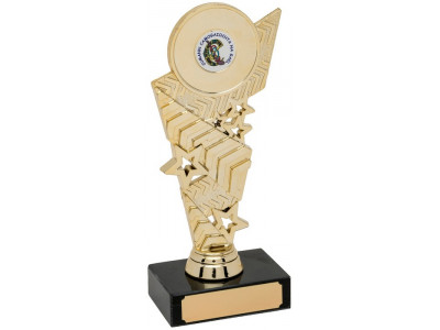 Social Chevron Gold Trophy 18.5cm