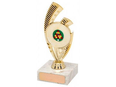 Social Riser Gold Trophy 15.5cm