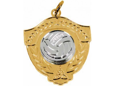 Gaelic Ball Shield Silver Raised...