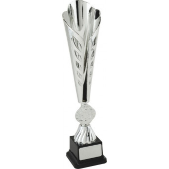Music Ty-Cone Silver Trophy...