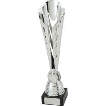 Pool Ty-Cone Silver Trophy...