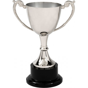Patriot Nickel Plated Cup...