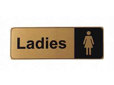 170x60mm Ladies Gold Sign