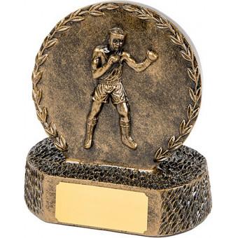 Boxing Bronze Trophy 12.5cm