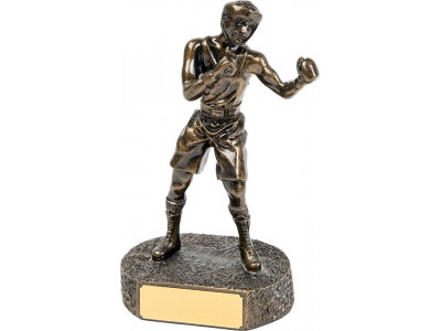 Boxing Bronze Figure 21cm