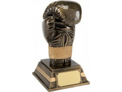 Boxing Glove Resin Trophy 15.5cm