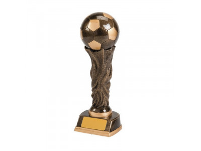 Resin Soccer Ball Trophy 25cm