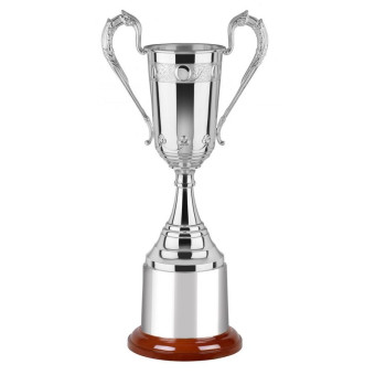 Silver Plated Narrow Cup...