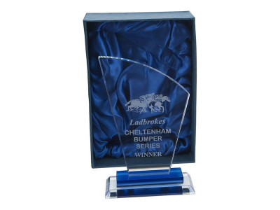 Curved Top Glass Award 18.5cm