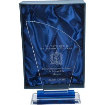 Curved Top Glass Award 21cm