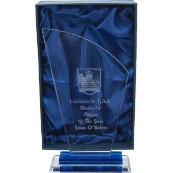 Curved Top Glass Award 24cm