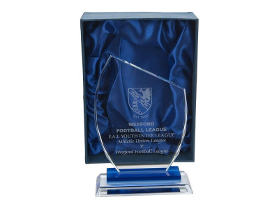 Pointed Glass Award 18.5cm