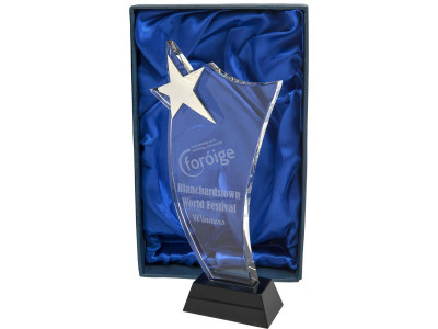 Crystal Star Award 26cm