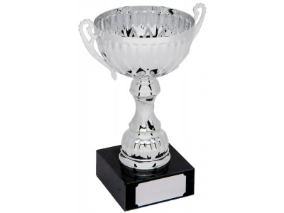 Classic Silver Cup with Handles 22cm