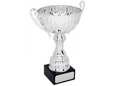 Classic Silver Cup with Handles 29.5cm