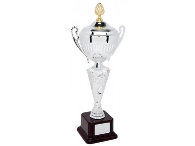 Classic Cup with Lid 48.5cm
