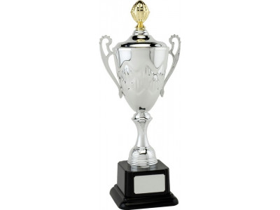 Presentation Cup with Lid 34.5cm