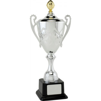 Presentation Cup with Lid 40cm