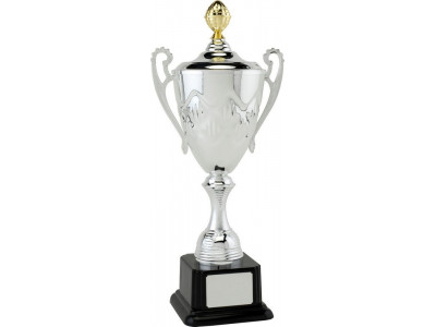 Presentation Cup with Lid 39cm