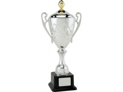 Presentation Cup with Lid 43.5cm