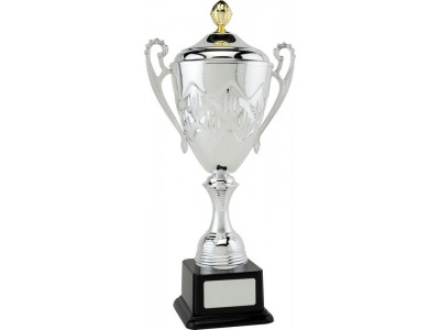 Presentation Cup with Lid 48.5cm