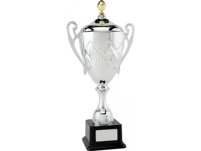 Presentation Cup with Lid 54cm