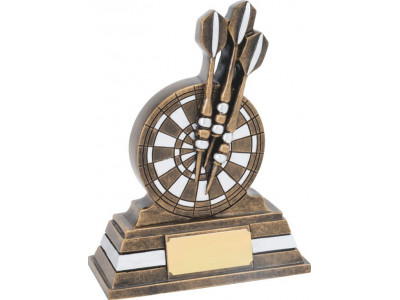 Darts Resin Trophy 13cm