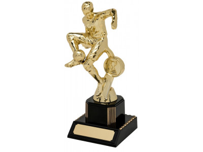 Soccer Award 19.5cm