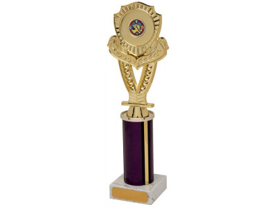 Mounted Shield Gold Column Trophy 28.5cm