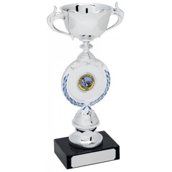 Badminton Silver Cup on...