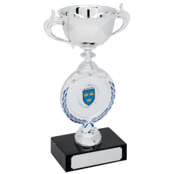 Badminton Silver Cup on...