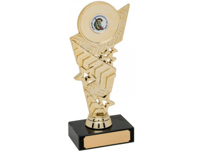 Chevron Gold Trophy 18.5cm
