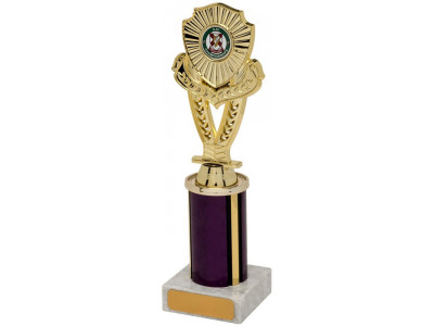 Camogie Mounted Shield Gold Column...