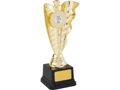 Wave Gold Trophy 25.5cm