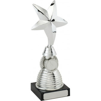 3D Star Silver Trophy 23cm