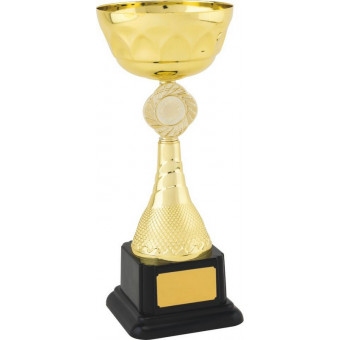 Gold Cup on Black Base 28cm