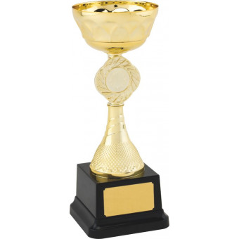 Gold Cup on Black Base 23cm