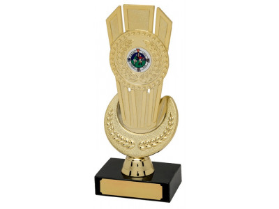 Hurling Triple Shard Gold Trophy 18.5cm