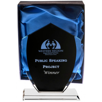 Black Coated Glass Award 22cm