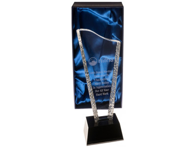 Wave Glass Award 24.5cm
