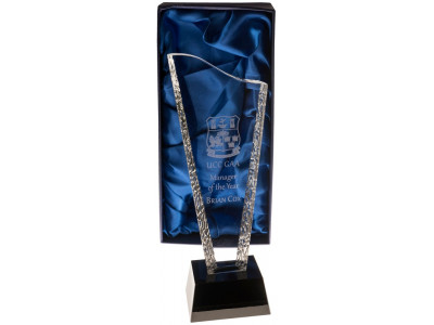 Wave Glass Award 26.5cm